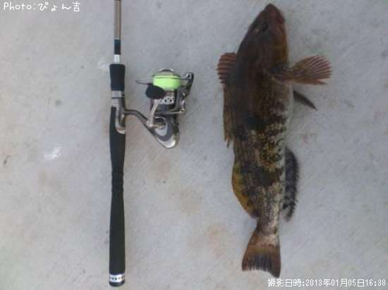 �����ʥ�