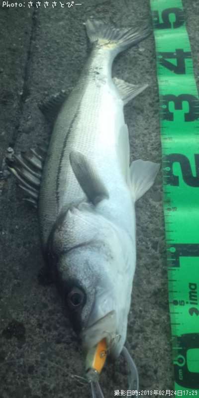 �����Х�