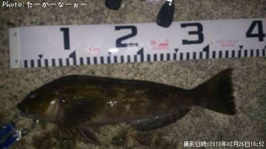 �����ʥ�