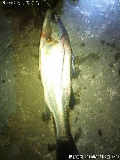 �����Х�