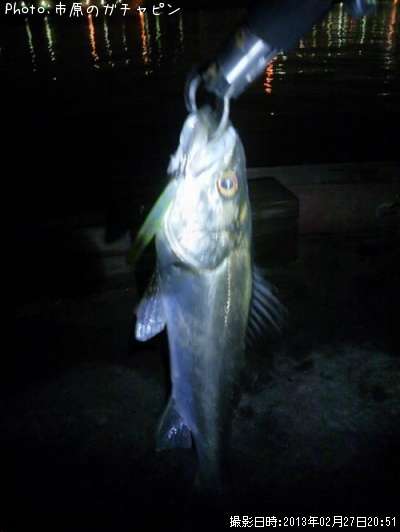 �����Х�