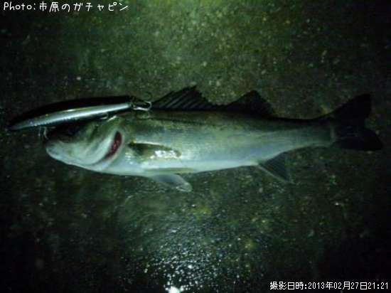 �����Х�