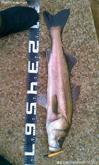 �����Х�