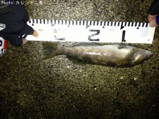 �����ʥ�