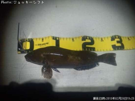 �����ʥ�