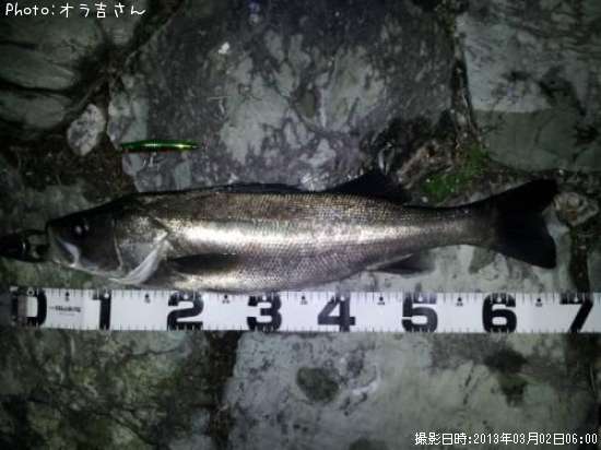 �����Х�