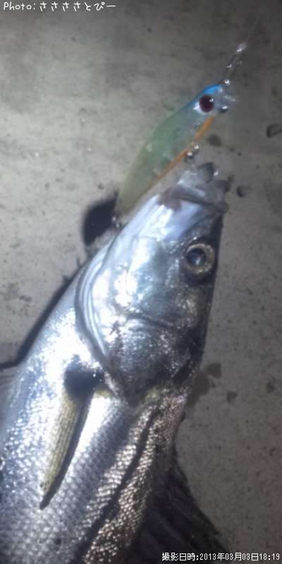 �����Х�