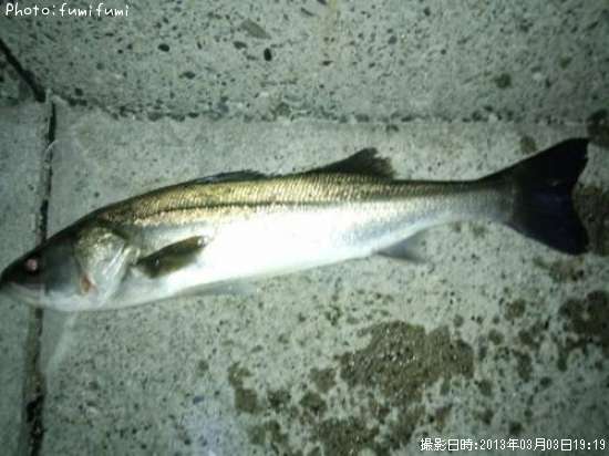 �����Х���