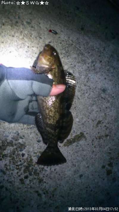 �����ʥ�