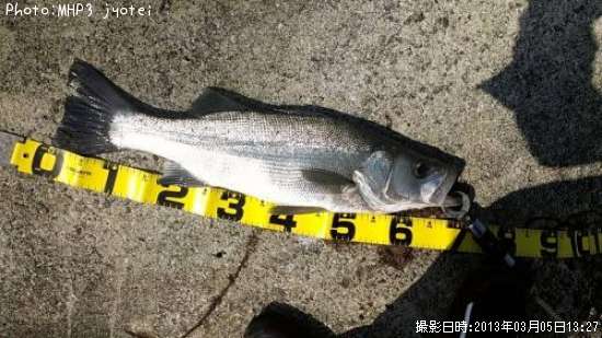 �ҥ饹����