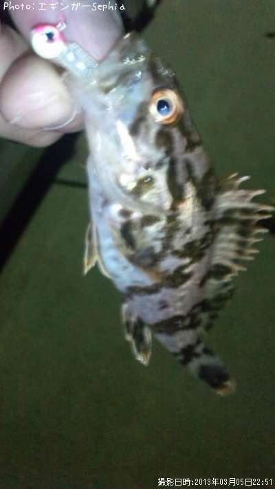 �����Υ���Х�