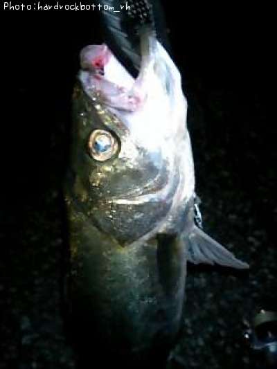 �����Х�