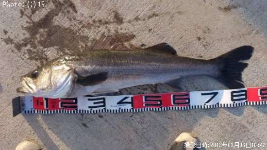 �����Ф�