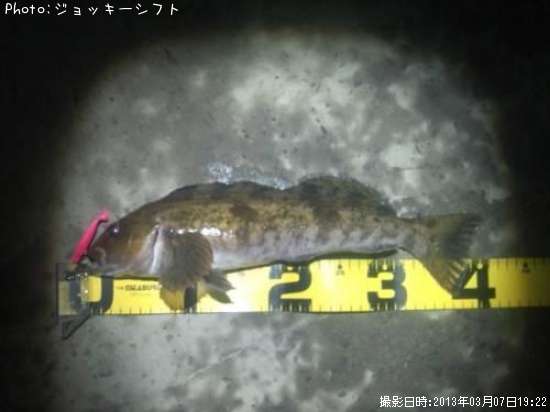 �����ʥ�