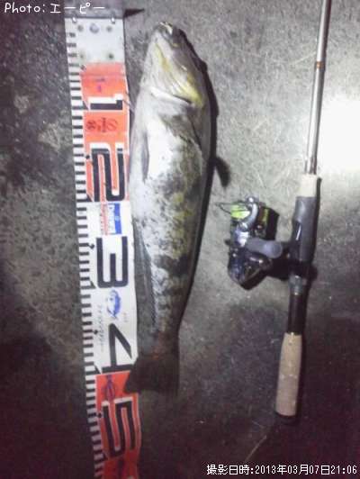 �����ʥ�