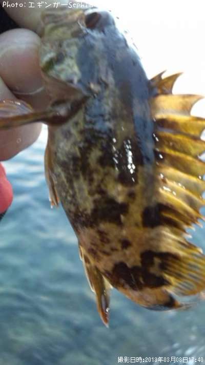 �����Υ���Х�