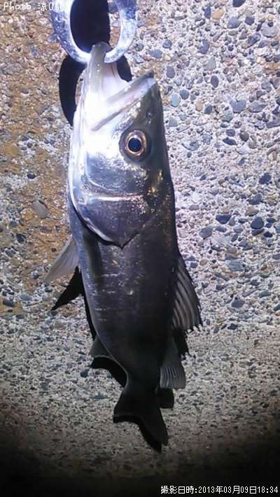 �����Х�