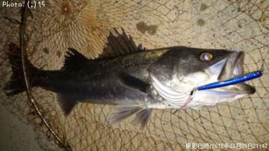 �����Ф�