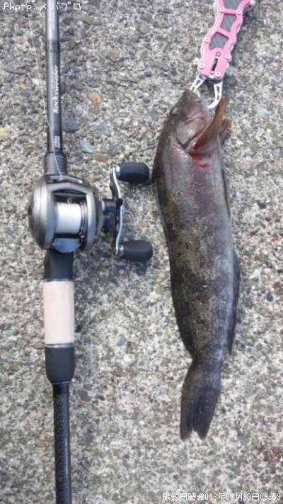 �����ʥ�