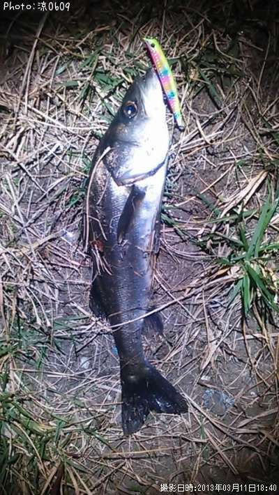 �����Х�