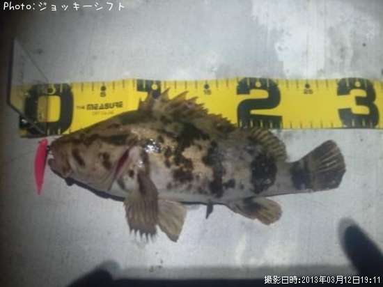 �٥å�������