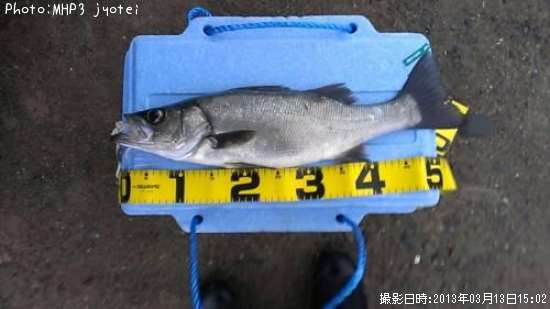 �ҥ饻����