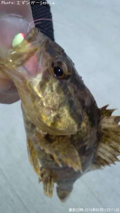 �����Υ���Х�