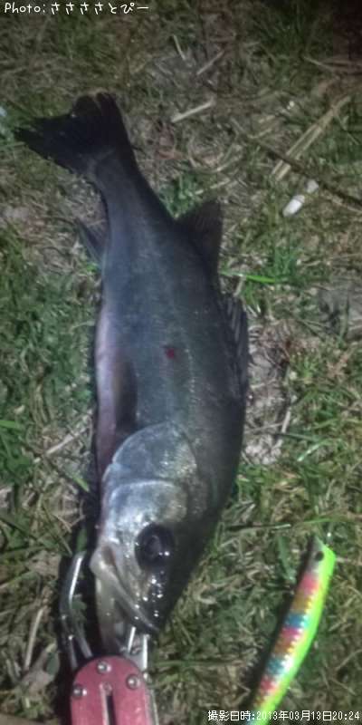 �����Х�