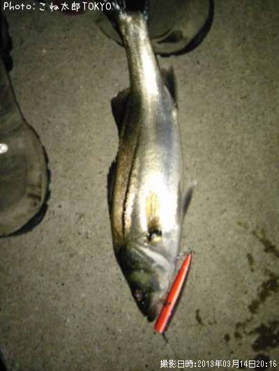 �����Х�