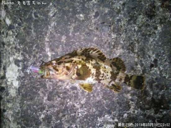 �����Υ���Х�