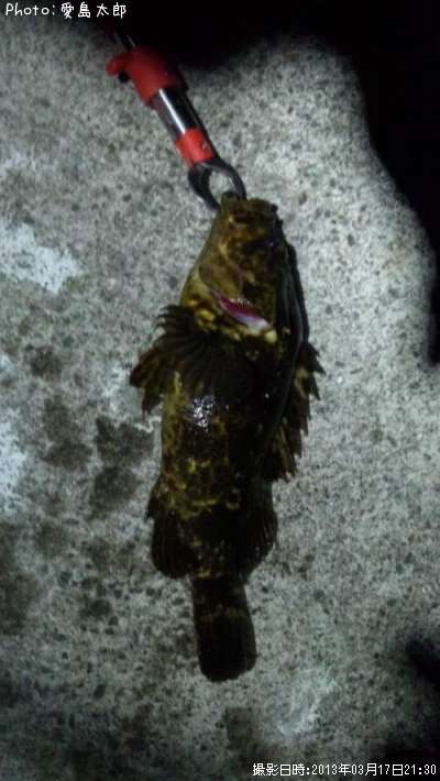 �٥å�������