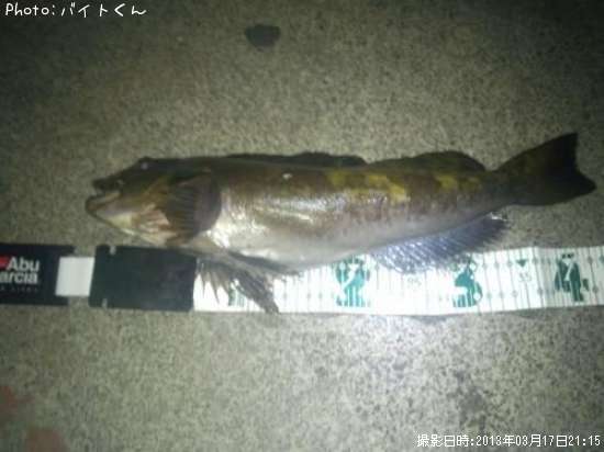 �����ʥ�