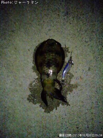 �����ꥤ��