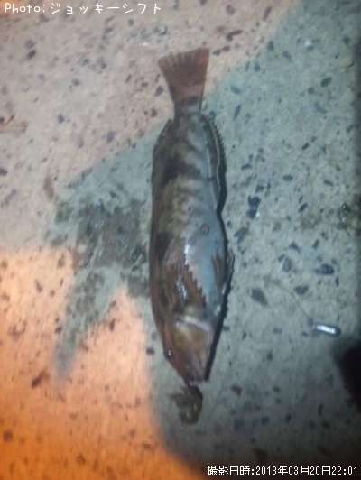 �����ʥ�