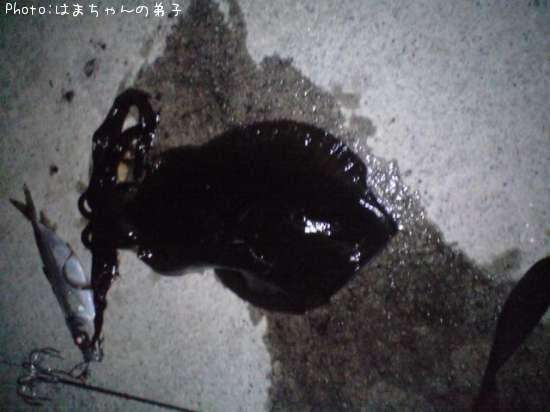 �����ꥤ��