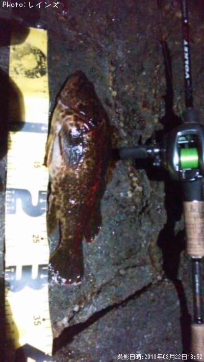 �����Υ���Х�