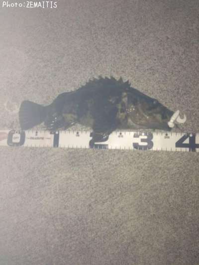 �٥å�������