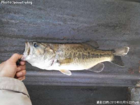 �֥�å��Х�