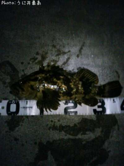 �٥å�������