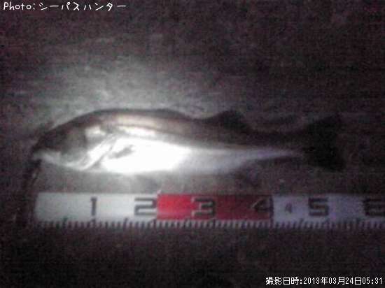 �����Х�