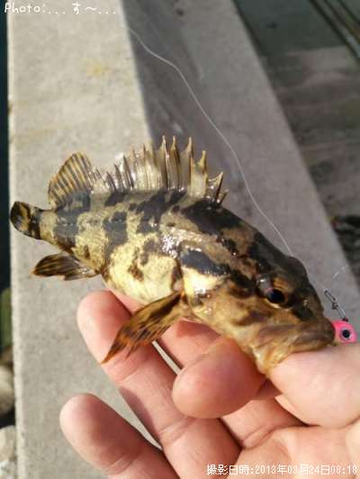 �����Υ���Х�