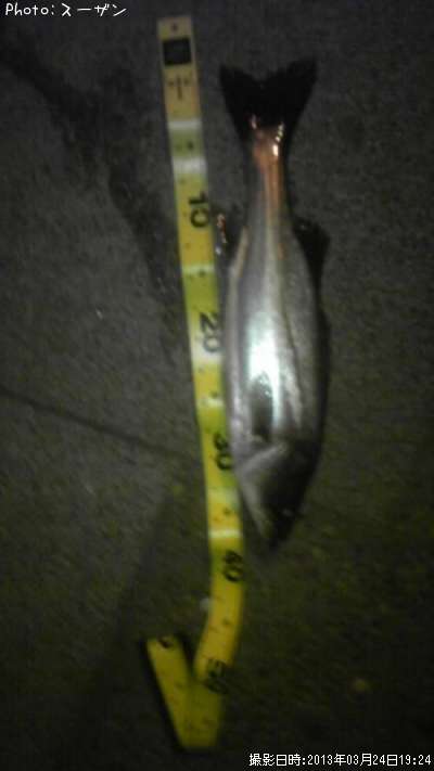 �����Х�