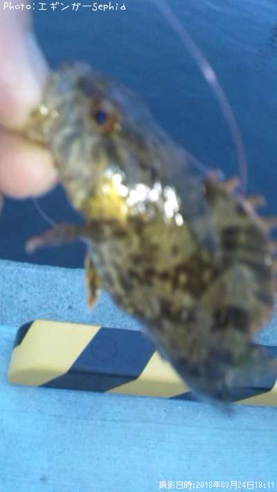 �����Υ���Х�