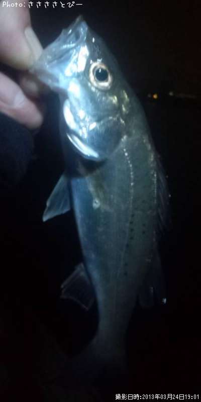 �����Х�