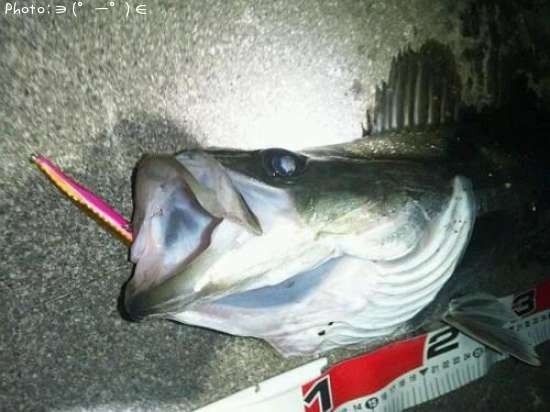 �����Х�