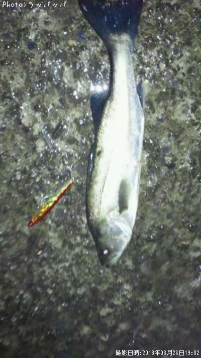 �����Х�