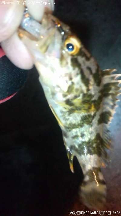 �����Υ���Х�