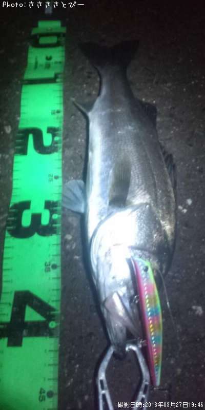 �����Х�