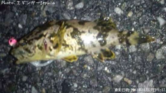 �����Υ���Х�