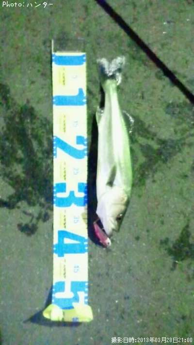 �����Х�